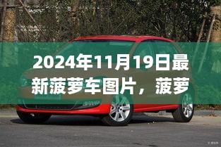 2024年菠蘿車新篇章，最新圖片解析與展示