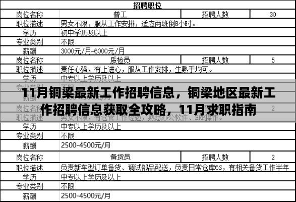 銅梁地區(qū)最新招聘全攻略，求職指南與招聘信息獲取指南（11月版）