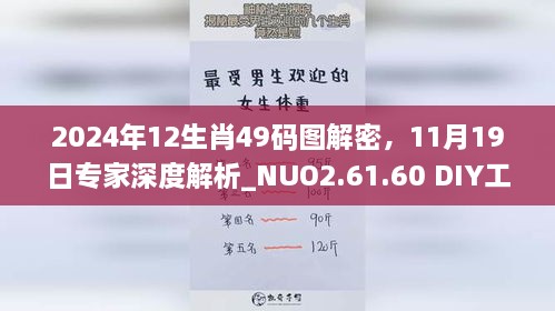 2024年12生肖49碼圖解密，11月19日專家深度解析_NUO2.61.60 DIY工具版