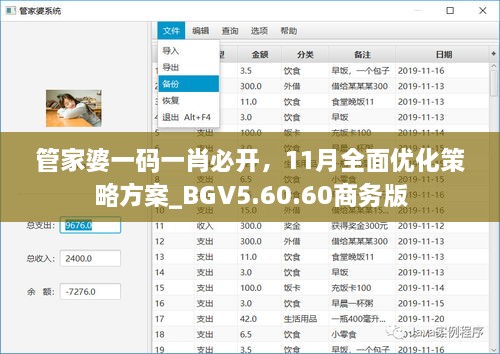 管家婆一碼一肖必開，11月全面優(yōu)化策略方案_BGV5.60.60商務(wù)版