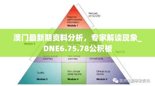 澳門最新期資料分析，專家解讀現(xiàn)象_DNE6.75.78公積板