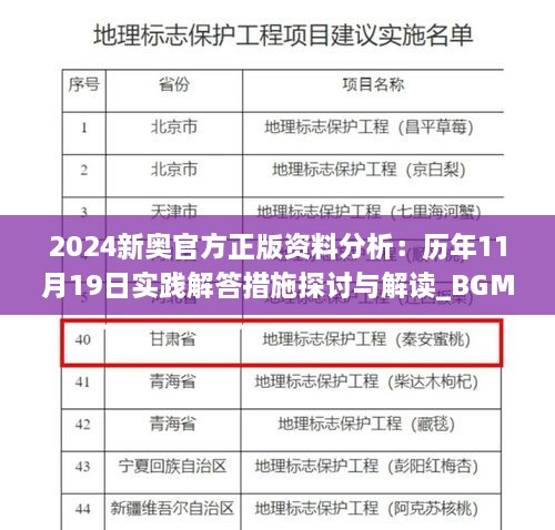 2024新奧官方正版資料分析：歷年11月19日實踐解答措施探討與解讀_BGM2.49.54觸感版