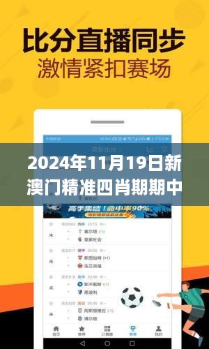 2024年11月19日新澳門精準四肖期期中特實施策略設(shè)計_HPJ7.32.87優(yōu)化版