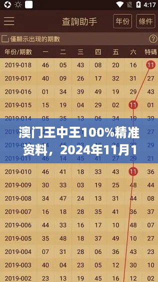 澳門王中王100%精準(zhǔn)資料，2024年11月19日可視化管理方案_RNM1.66.77私密版