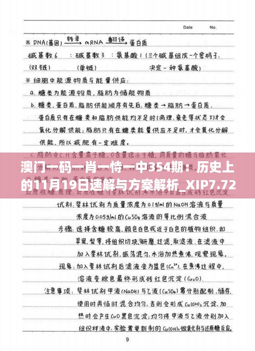 澳門(mén)一碼一肖一恃一中354期：歷史上的11月19日速解與方案解析_XIP7.72.55內(nèi)容創(chuàng)作版