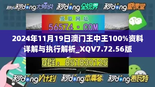 2024年11月19日澳門王中王100%資料詳解與執(zhí)行解析_XQV7.72.56版