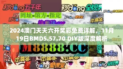 2024澳門天天六開獎彩免費詳解，11月19日BMD5.57.70 DIY版深度解析