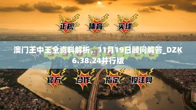 澳門王中王全資料解析，11月19日顧問解答_DZK6.38.24并行版