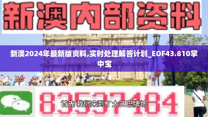 新澳2024年最新版資料,實時處理解答計劃_EOF43.810掌中寶