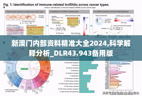 新澳門(mén)內(nèi)部資料精準(zhǔn)大全2024,科學(xué)解釋分析_DLR43.943備用版