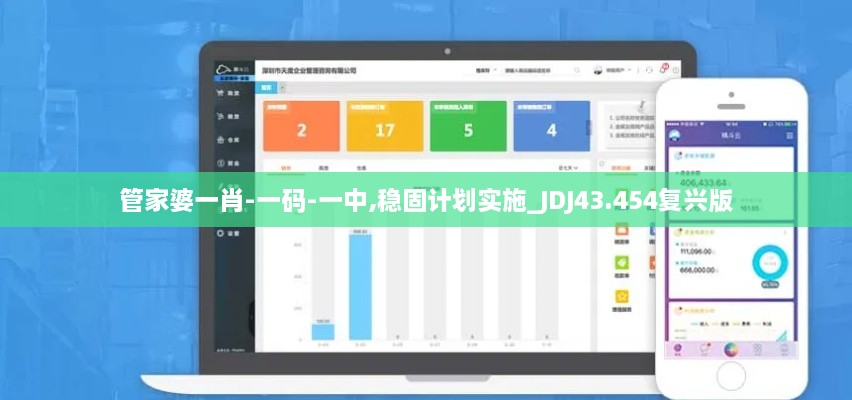 管家婆一肖-一碼-一中,穩(wěn)固計劃實施_JDJ43.454復(fù)興版