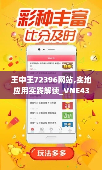 王中王72396網站,實地應用實踐解讀_VNE43.457性能版