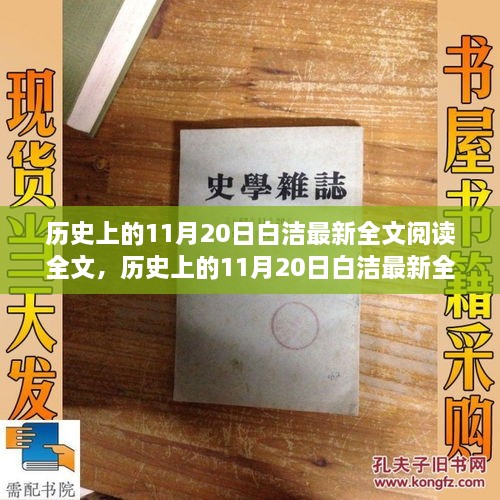 歷史上的11月20日白潔最新全文閱讀，產(chǎn)品評測與介紹全解析