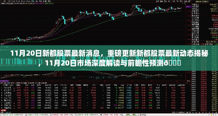 11月20日新都股票最新動態(tài)與市場深度解讀，前瞻性預(yù)測揭秘??