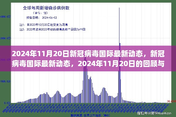 新冠病毒國(guó)際最新動(dòng)態(tài)，2024年11月20日的回顧與影響分析