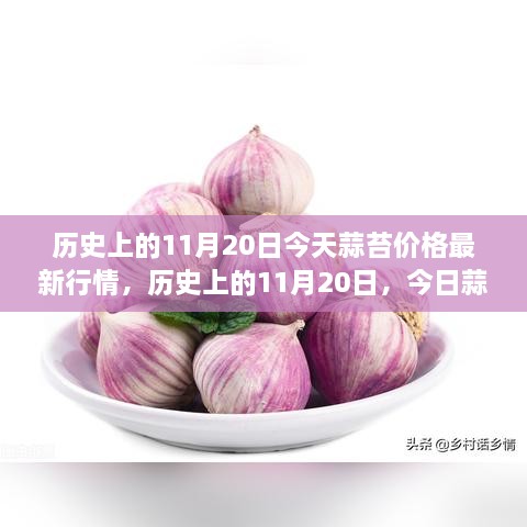 歷史上的11月20日，今日蒜苔價(jià)格與自然美景之旅，探尋內(nèi)心寧?kù)o與平和的旅程