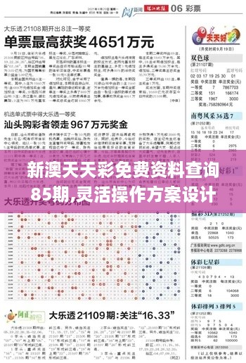 新澳天天彩免費資料查詢85期,靈活操作方案設計_時尚版YNL5.46