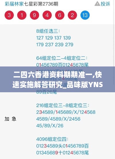 二四六香港資料期期準一,快速實施解答研究_品味版YNS9.64