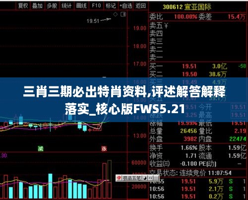 三肖三期必出特肖資料,評述解答解釋落實(shí)_核心版FWS5.21