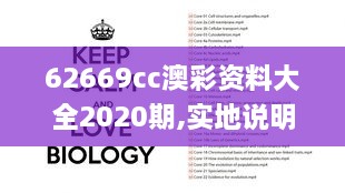 62669cc澳彩資料大全2020期,實(shí)地說(shuō)明解析_煉髓境IBD8.27