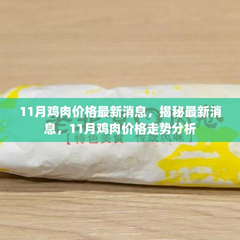 揭秘最新消息，11月雞肉價(jià)格走勢(shì)分析與預(yù)測(cè)