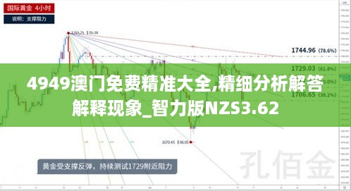 4949澳門免費(fèi)精準(zhǔn)大全,精細(xì)分析解答解釋現(xiàn)象_智力版NZS3.62