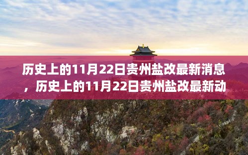 揭秘貴州鹽改最新動態(tài)，歷史上的11月22日最新消息揭秘