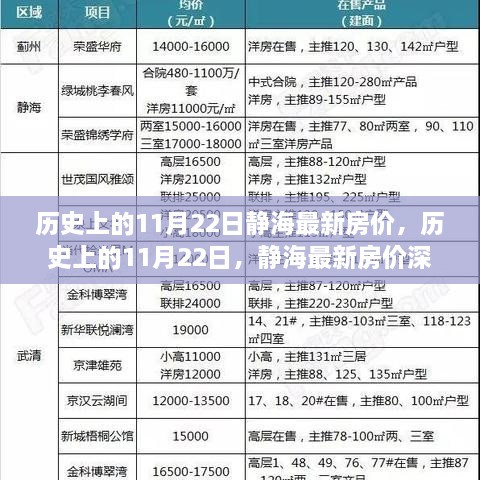 歷史上的11月22日靜海最新房價，歷史上的11月22日，靜海最新房價深度解析