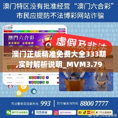 澳門正版精準(zhǔn)免費(fèi)大全333期,實(shí)時解析說明_MVM3.79