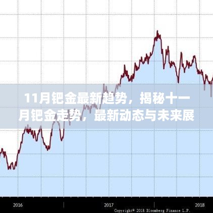 揭秘鈀金走勢，最新動態(tài)與未來展望（十一月版）