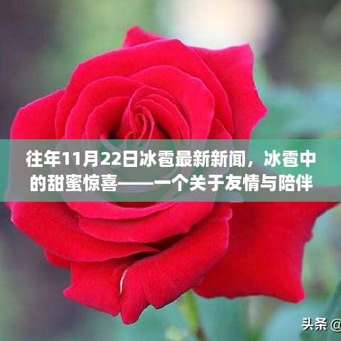 冰雹中的甜蜜驚喜，友情與陪伴的溫馨故事——最新冰雹新聞回顧往年事件