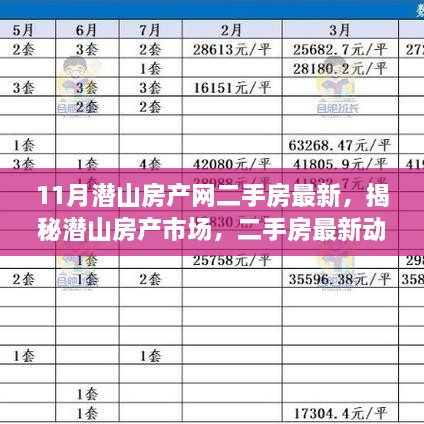 揭秘潛山房產(chǎn)市場，最新二手房動態(tài)深度解讀（11月版）