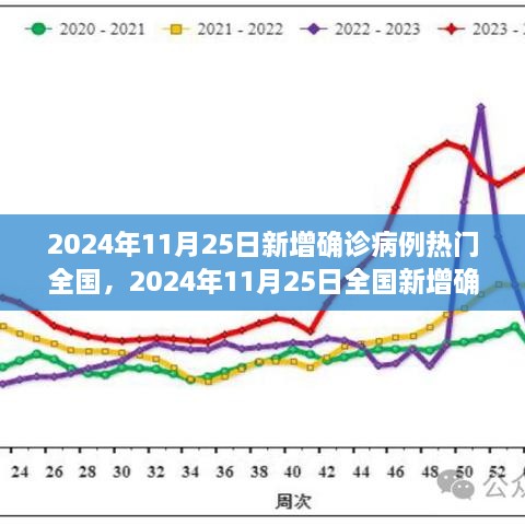 2024年11月25日全國(guó)疫情動(dòng)態(tài)，最新確診病例指南與理解疫情走勢(shì)的方法