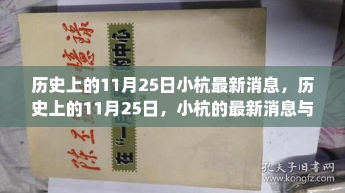 歷史上的11月25日，小杭的最新消息與深遠(yuǎn)影響揭秘