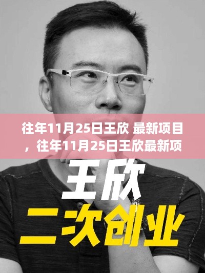 王欣最新項目深度評測與介紹，歷年11月25日回顧與前瞻