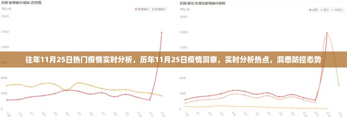 歷年與即時洞察，11月25日疫情深度分析與防控態(tài)勢實時觀察