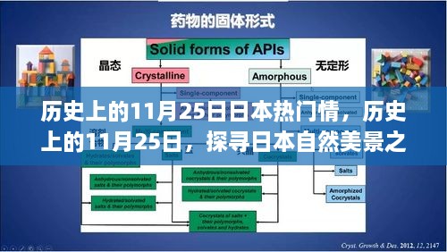 探尋日本自然美景之旅，歷史上的11月25日與日本情感之旅的寧靜與平和