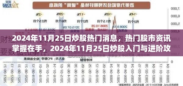 2024年11月25日股市熱門消息及入門進階攻略