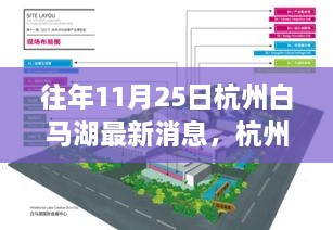 往年11月25日杭州白馬湖最新消息，杭州白馬湖，十一月二十五日的最新篇章