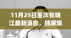 重慶張曉江最新動(dòng)態(tài)揭秘，11月25日獨(dú)家爆料，瞬間驚艷！