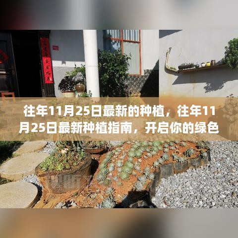 往年11月25日最新的種植，往年11月25日最新種植指南，開(kāi)啟你的綠色生活之旅