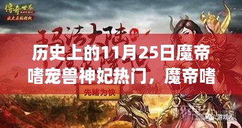 魔帝嗜寵獸神妃，深度測評與介紹——歷史上的11月25日熱門話題