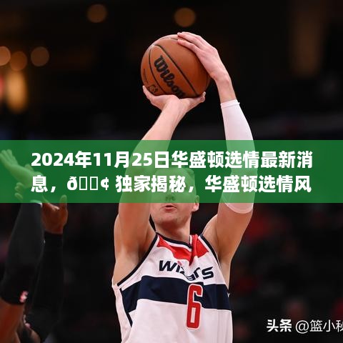 2024年11月25日華盛頓選情最新消息，?? 獨家揭秘，華盛頓選情風(fēng)云變幻，最新消息一網(wǎng)打盡！?? 2024年11月25日選情深度解析