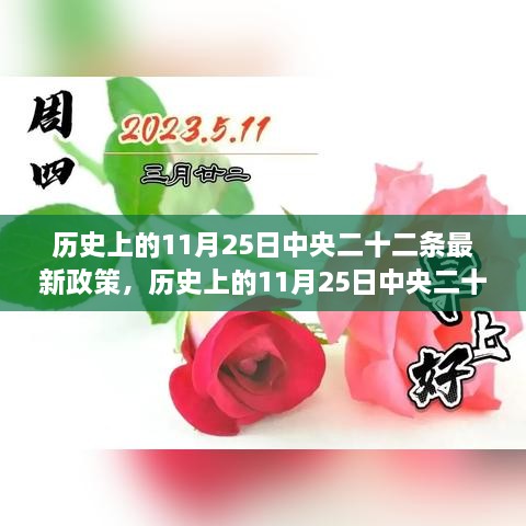 歷史上的11月25日中央二十二條最新政策，歷史上的11月25日中央二十二條最新政策深度解讀