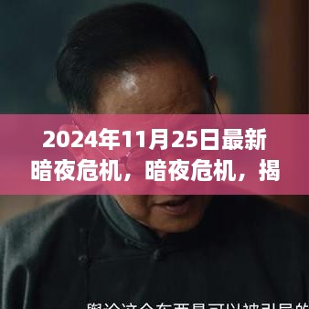 揭秘，2024年11月25日暗夜危機的背后故事與影響揭秘