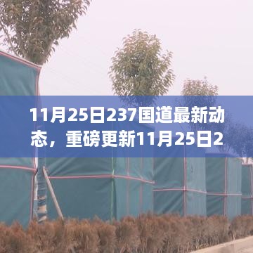 11月25日237國(guó)道最新動(dòng)態(tài)全解析，路況、施工及出行指南