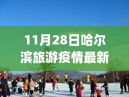 疫情下安全游哈爾濱，最新旅游指南與實用建議（初學(xué)者與進階用戶適用）