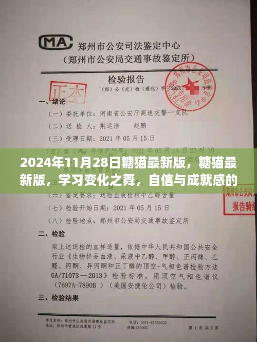 2024年11月28日糖貓最新版，糖貓最新版，學(xué)習(xí)變化之舞，自信與成就感的魔法之旅