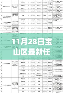 11月28日寶山區(qū)干部任免更新，流程詳解與操作指南