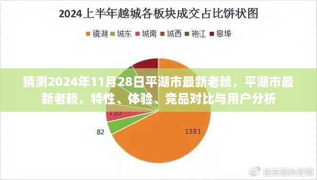 平湖市最新失信人員解析，特性、體驗(yàn)、競品對比與用戶洞察（預(yù)測至2024年11月）